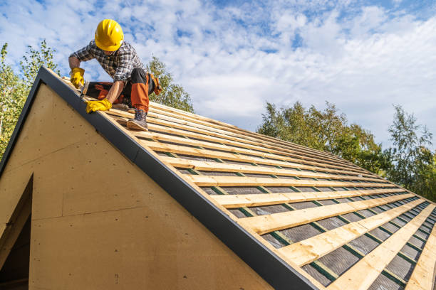 Best New Roof Installation  in Holiday, FL