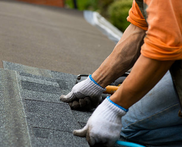 Best Roof Replacement Cost  in Holiday, FL